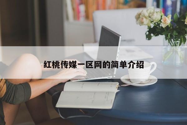 红桃传媒一区网的简单介绍