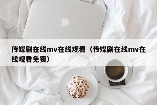 传媒剧在线mv在线观看（传媒剧在线mv在线观看免费）